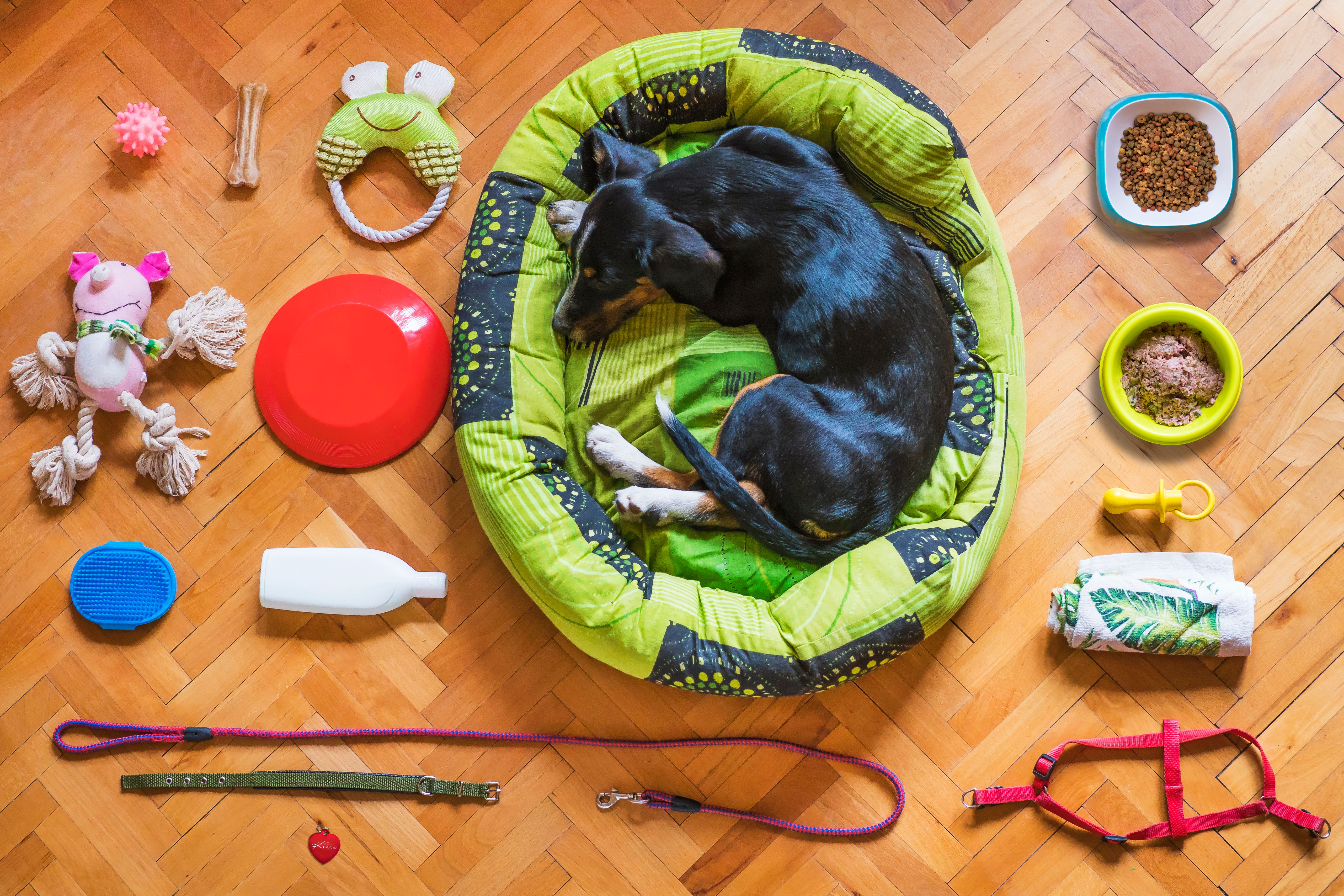 About Tailsworth Pet Supply Collective