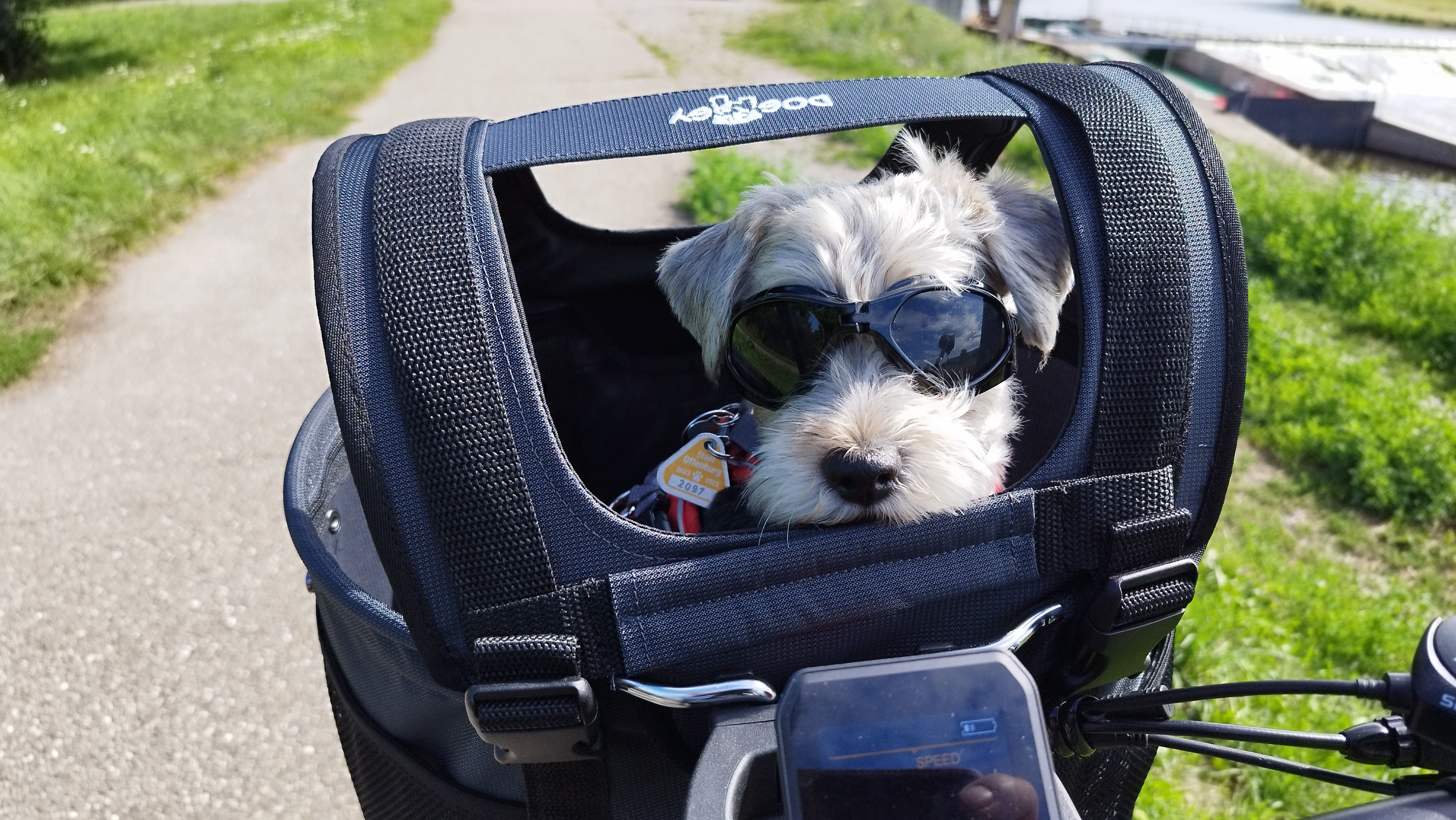 Pet care from Tailsworth Pet Supply Collective