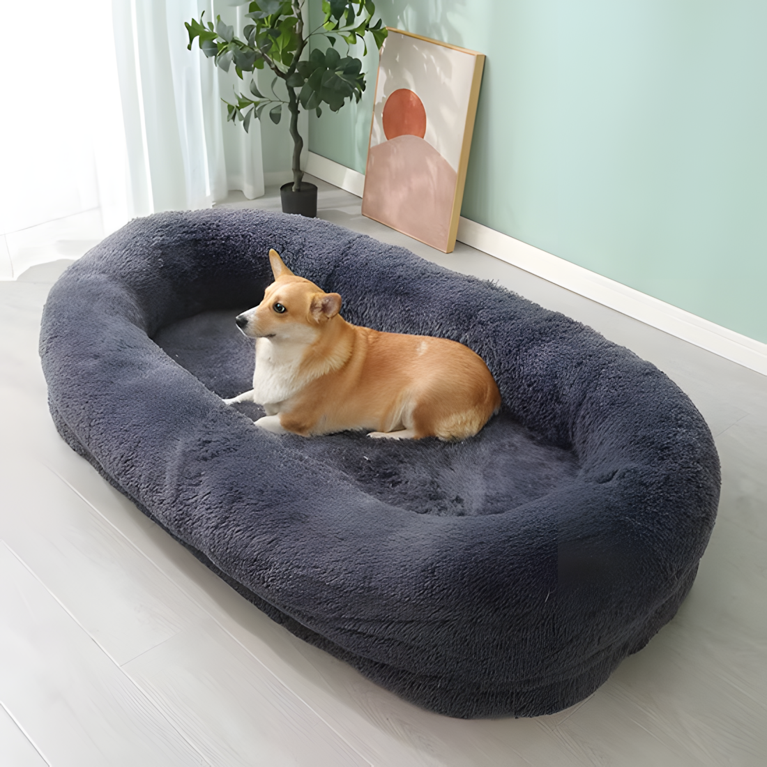 Pet Supplies Quality & Care